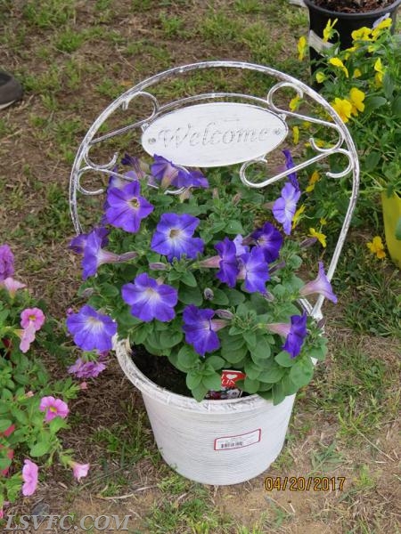 4/20/17-Opening Day-plant for flower wheel